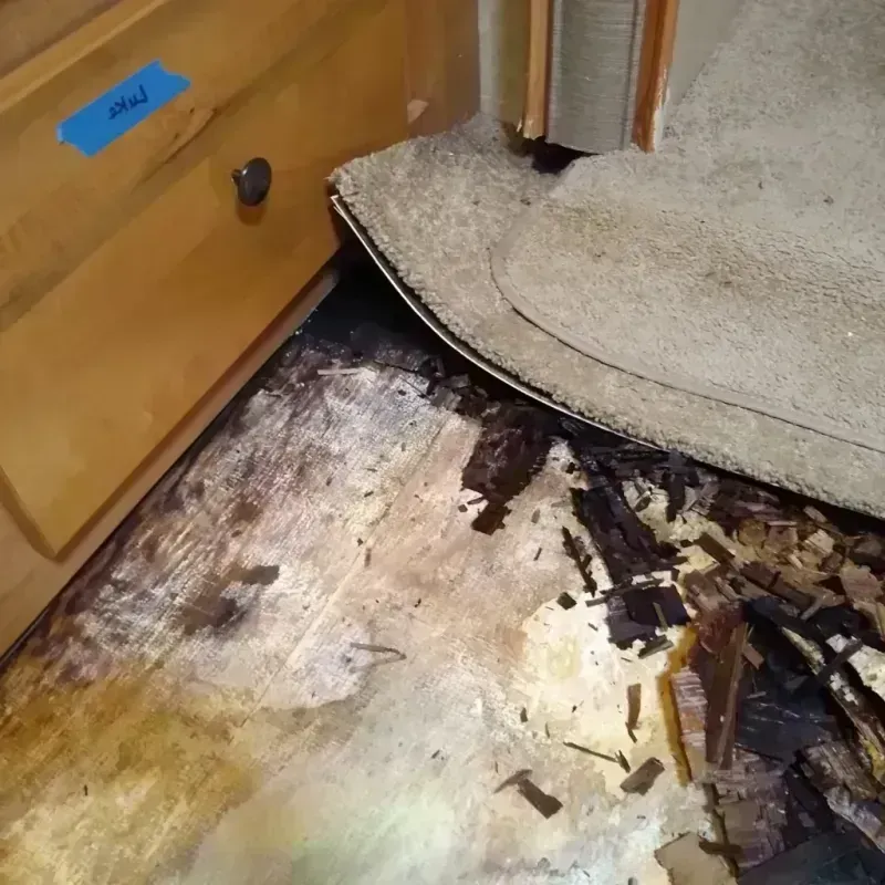 Wood Floor Water Damage in Vernon Valley, NJ